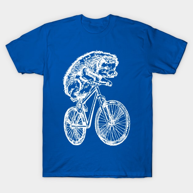Hedgehog bikes 2024